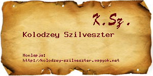 Kolodzey Szilveszter névjegykártya